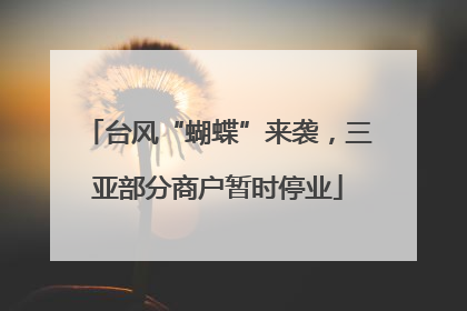 台风“蝴蝶”来袭，三亚部分商户暂时停业