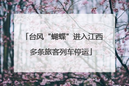 台风“蝴蝶”进入江西 多条旅客列车停运