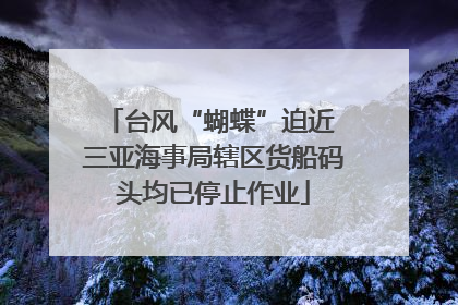 台风“蝴蝶”迫近 三亚海事局辖区货船码头均已停止作业