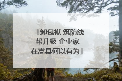 卸包袱 筑防线 帮升级 企业家在嵩县何以有为