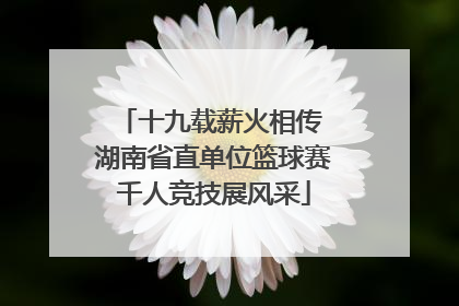 十九载薪火相传 湖南省直单位篮球赛千人竞技展风采