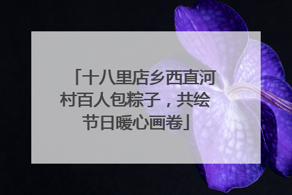 十八里店乡西直河村百人包粽子，共绘节日暖心画卷