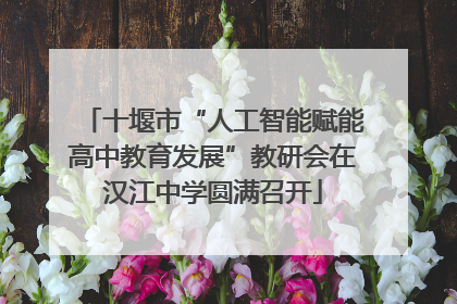 十堰市“人工智能赋能高中教育发展”教研会在汉江中学圆满召开