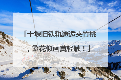 十堰旧铁轨邂逅夹竹桃，繁花似画莫轻触！