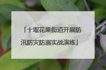 十堰花果街道开展防汛防灾防溺实战演练
