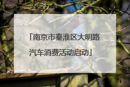 南京市秦淮区大明路汽车消费活动启动