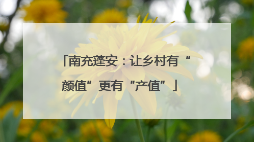 南充蓬安：让乡村有“颜值”更有“产值”