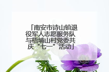 南安市诗山镇退役军人志愿服务队与梧埔山村党委共庆“七一”活动