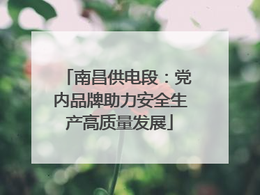 南昌供电段：党内品牌助力安全生产高质量发展