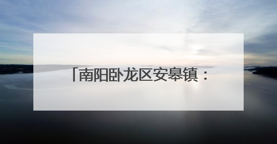 南阳卧龙区安皋镇：环境整治“出真招” 人居环境“焕新颜”