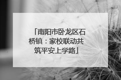 南阳市卧龙区石桥镇：家校联动共筑平安上学路