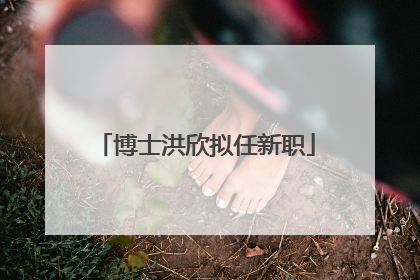 博士洪欣拟任新职