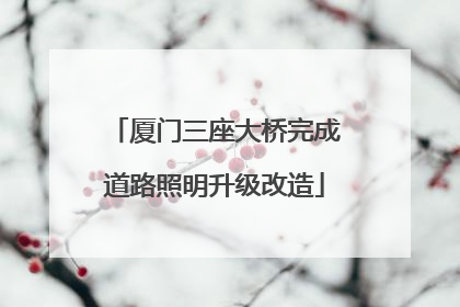 厦门三座大桥完成道路照明升级改造