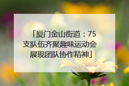 厦门金山街道：75支队伍齐聚趣味运动会 展现团队协作精神