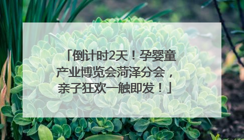 倒计时2天！孕婴童产业博览会菏泽分会，亲子狂欢一触即发！
