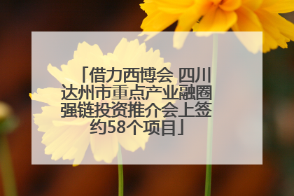 借力西博会 四川达州市重点产业融圈强链投资推介会上签约58个项目