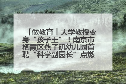 做教育︱大学教授变身“孩子王”！南京市栖霞区燕子矶幼儿园首聘“科学副园长”点燃萌娃科学梦
