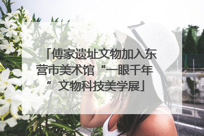 傅家遗址文物加入东营市美术馆“一眼千年”文物科技美学展