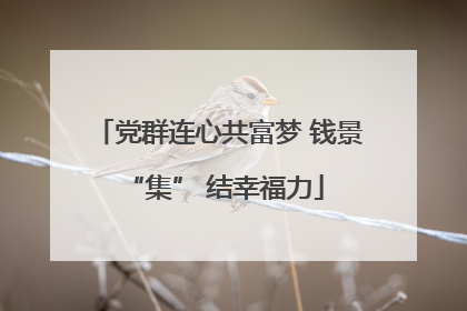 党群连心共富梦 钱景 “集” 结幸福力