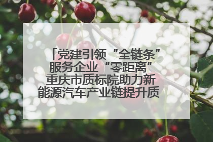 党建引领“全链条” 服务企业“零距离” 重庆市质标院助力新能源汽车产业链提升质量管理水平