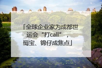 全球企业家为成都世运会“打call”，蜀宝、锦仔成焦点