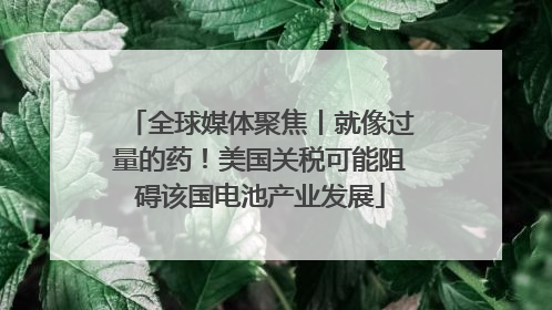 全球媒体聚焦丨就像过量的药！美国关税可能阻碍该国电池产业发展