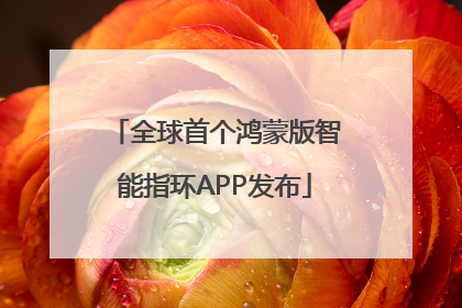 全球首个鸿蒙版智能指环APP发布