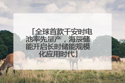 全球首款千安时电池率先量产，海辰储能开启长时储能规模化应用时代