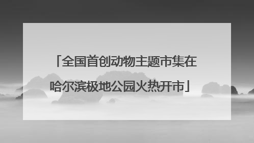 全国首创动物主题市集在哈尔滨极地公园火热开市