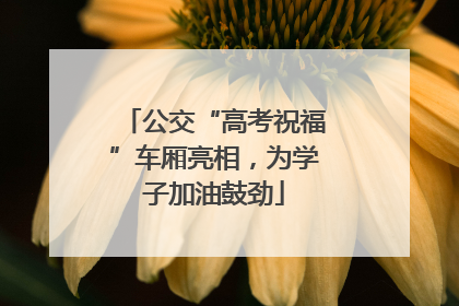 公交“高考祝福”车厢亮相，为学子加油鼓劲