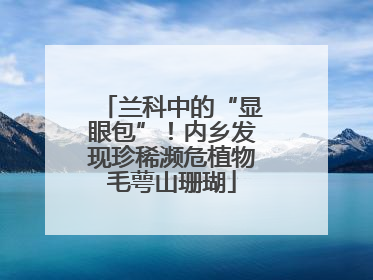 兰科中的“显眼包”！内乡发现珍稀濒危植物毛萼山珊瑚