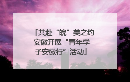 共赴“皖”美之约 安徽开展“青年学子安徽行”活动