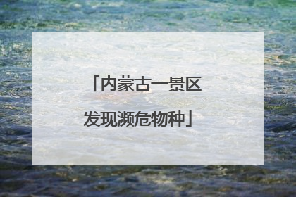 内蒙古一景区发现濒危物种