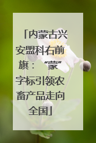 内蒙古兴安盟科右前旗：“蒙”字标引领农畜产品走向全国