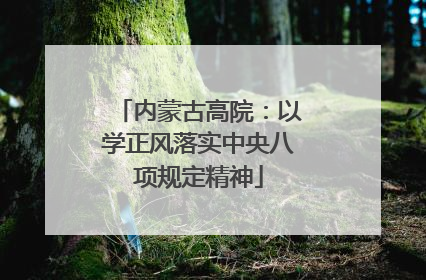 内蒙古高院：以学正风落实中央八项规定精神