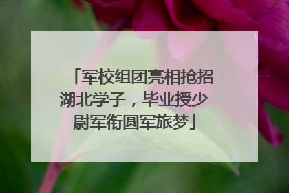 军校组团亮相抢招湖北学子，毕业授少尉军衔圆军旅梦