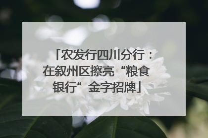 农发行四川分行：在叙州区擦亮“粮食银行”金字招牌