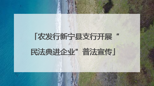 农发行新宁县支行开展“民法典进企业”普法宣传