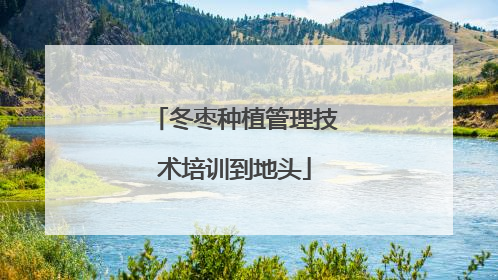 冬枣种植管理技术培训到地头