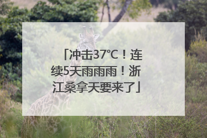 冲击37℃！连续5天雨雨雨！浙江桑拿天要来了
