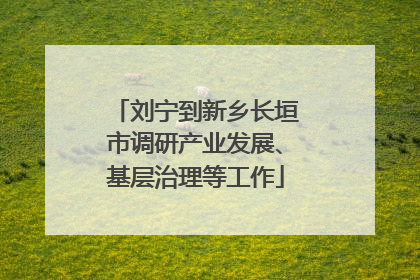 刘宁到新乡长垣市调研产业发展、基层治理等工作