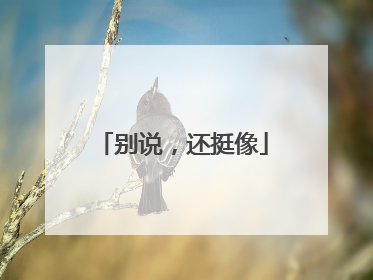 别说，还挺像