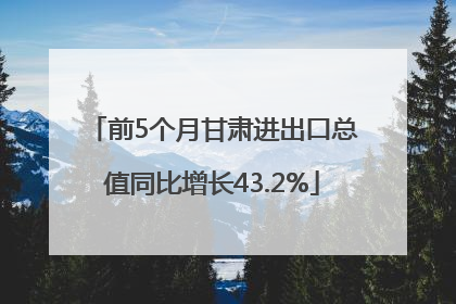 前5个月甘肃进出口总值同比增长43.2%