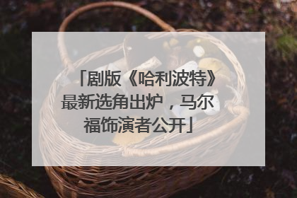 剧版《哈利波特》最新选角出炉，马尔福饰演者公开