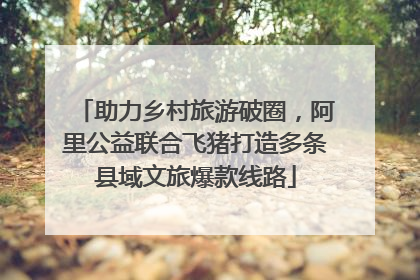 助力乡村旅游破圈，阿里公益联合飞猪打造多条县域文旅爆款线路