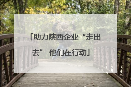 助力陕西企业“走出去” 他们在行动