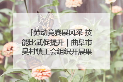 劳动竞赛展风采 技能比武促提升｜曲阜市吴村镇工会组织开展果树套袋技能竞赛
