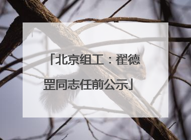 北京组工：翟德罡同志任前公示