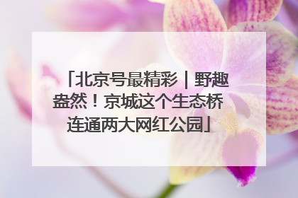 北京号最精彩｜野趣盎然！京城这个生态桥连通两大网红公园