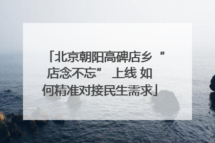 北京朝阳高碑店乡“店念不忘” 上线 如何精准对接民生需求